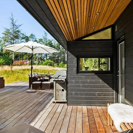 Bl1519-blokhus-blaabaerskraenten-13 別荘 ブロックフス